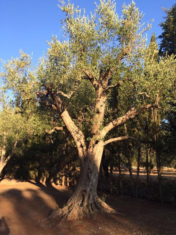 Casa Christina Daire Galatone Dış mekan fotoğraf